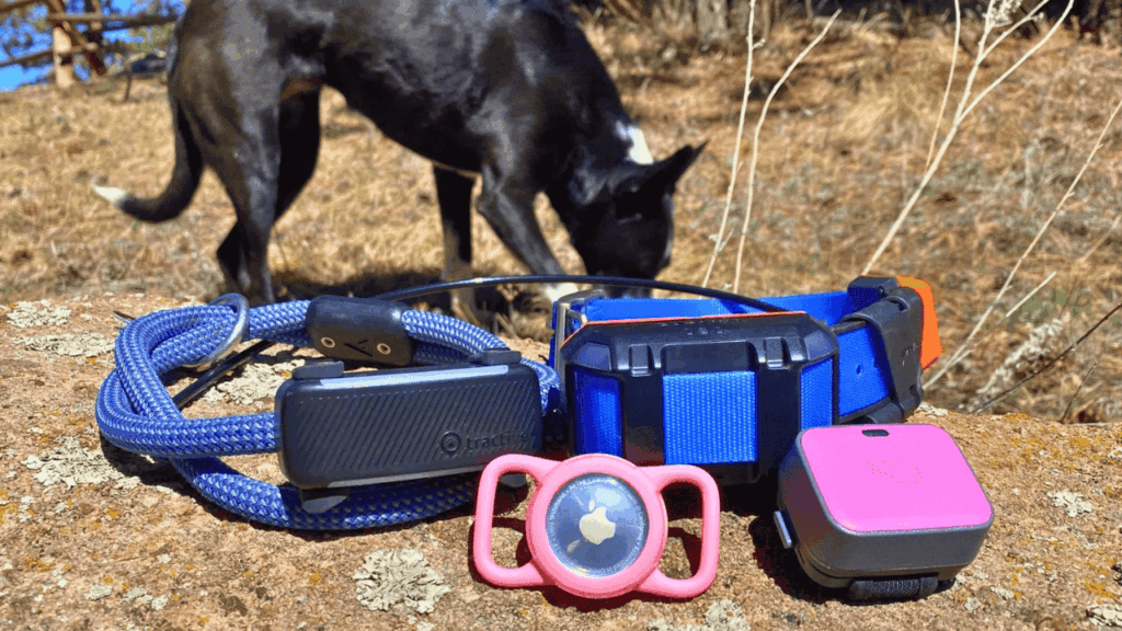 GPS Collars for Pets