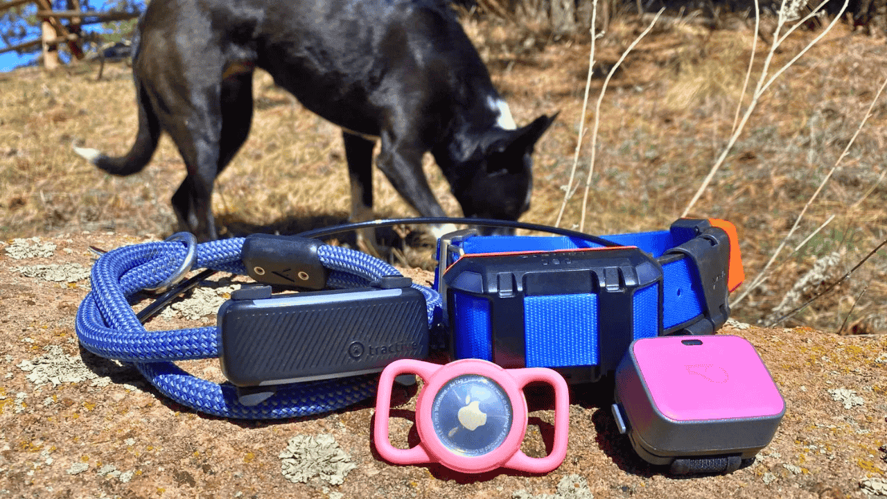GPS Collars for Pets