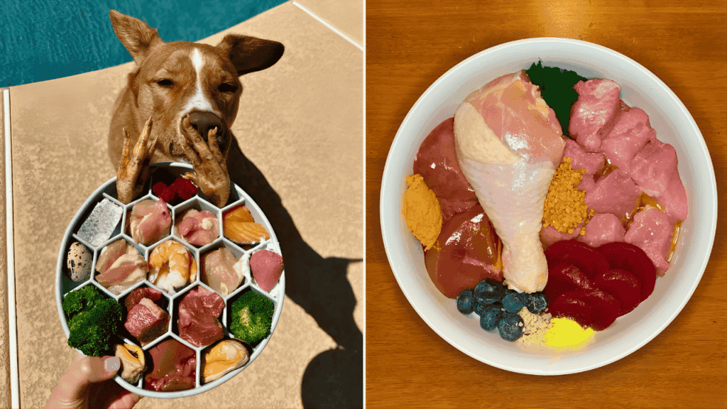 Raw Dog Food Trends in America