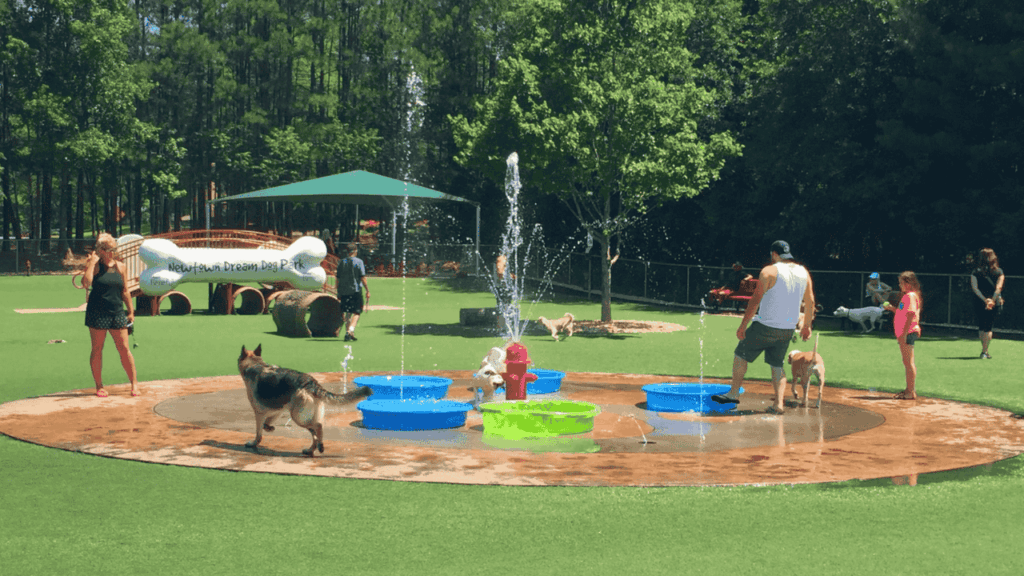 USA’s Best Dog Parks