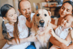 Dog Insurance in America