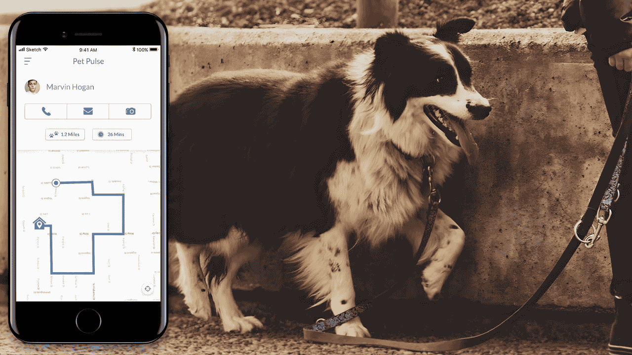 Dog Walking Apps USA