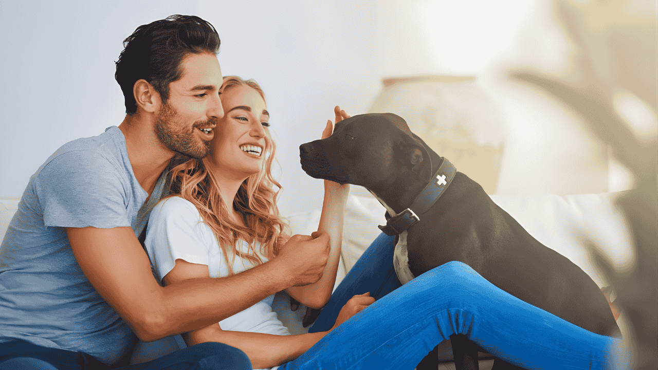 Millennials Delaying Kids for Dogs